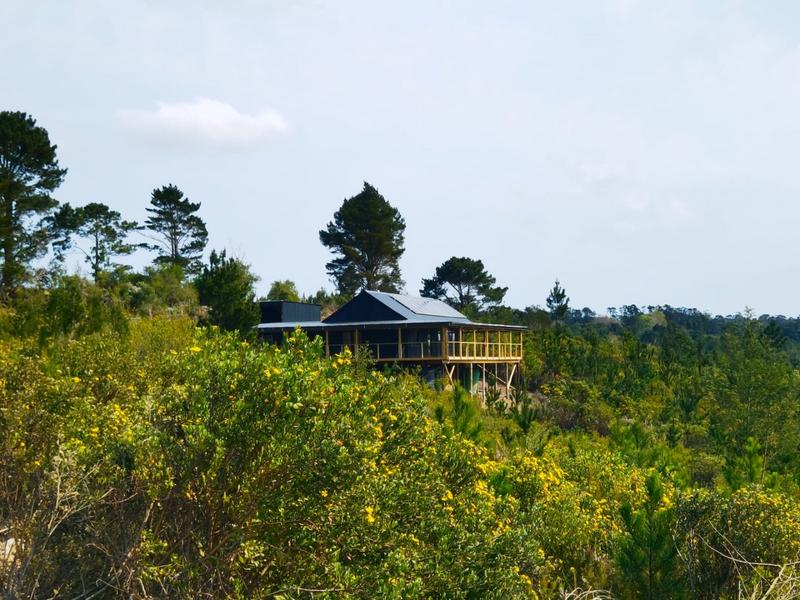 To Let 3 Bedroom Property for Rent in Plettenberg Bay Western Cape